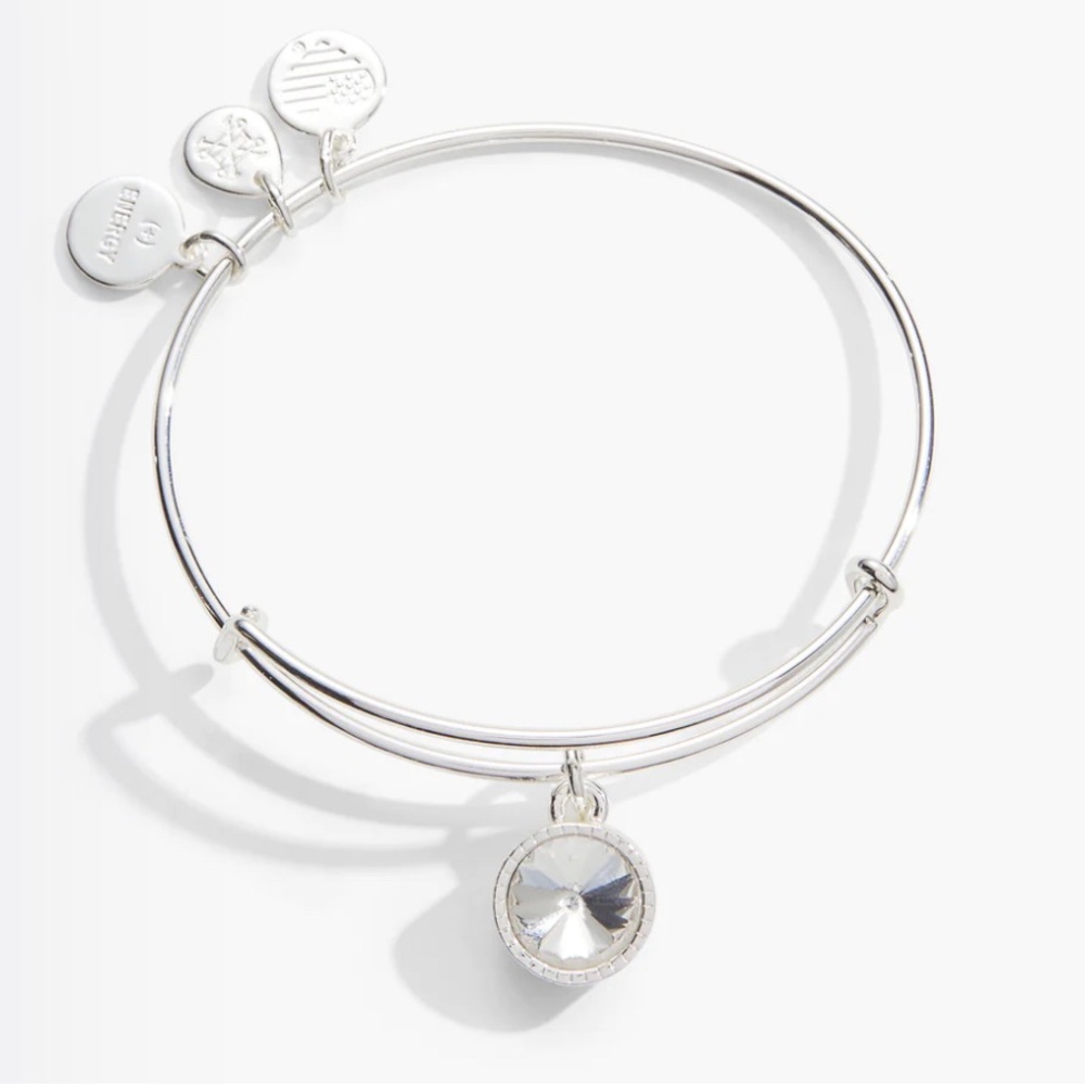 Alex and Ani Love and Clarity Bangle Bracelet - Picture 3 of 4